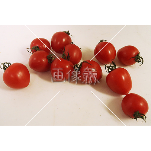 リコピンたっぷりミニトマトの写真素材 画像衆