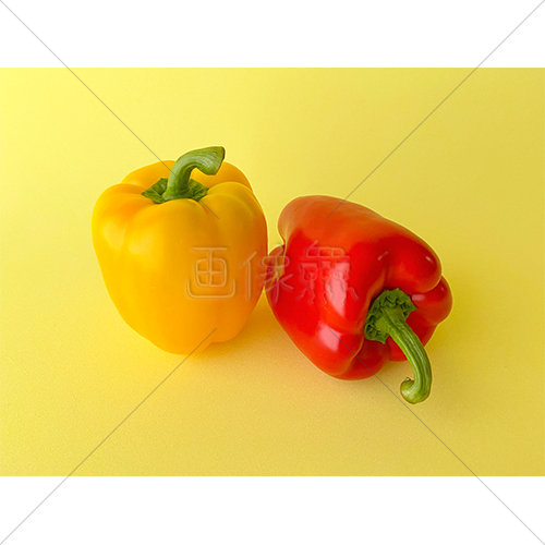 ビタミンカラーで元気が出るパプリカの写真素材 2 画像衆