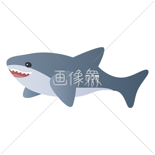 ニカッと笑うサメのイラスト素材 画像衆