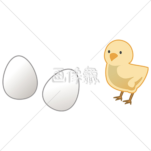ひよこと卵のイラスト素材 画像衆