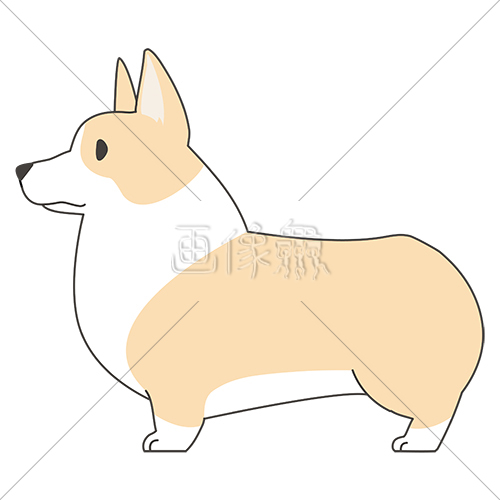 犬 柴犬 のイラスト素材 1 画像衆
