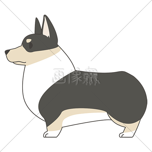 犬 コーギー のイラスト素材 4 画像衆