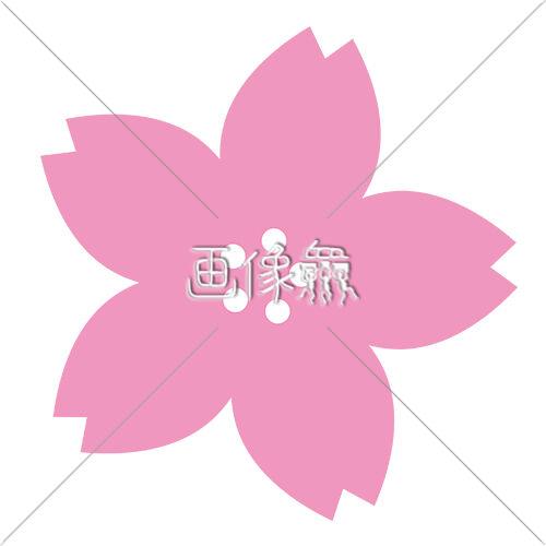 桜のイラスト素材 1 画像衆