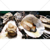 良い匂いがしそうな焼き牡蠣の写真素材