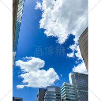青空が見える真夏の都会のビルの写真素材（1）