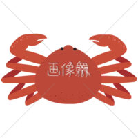 大きな爪を持つカニのイラスト素材