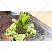 おろしたての新鮮なわさびの写真素材