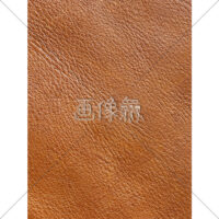 革の表面の写真素材