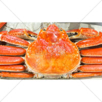 艶の入った真っ赤な蟹の写真素材