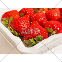 パックに入った苺の写真素材